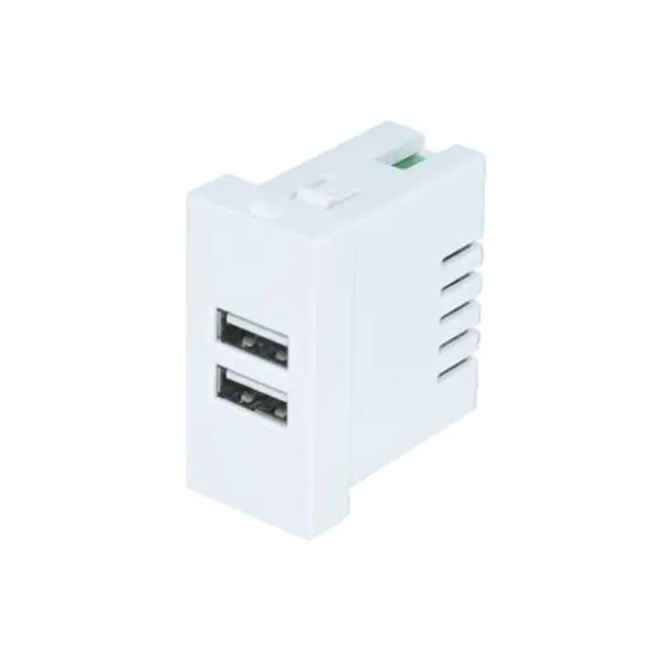 Lua Taulaga TypeA + A Usb Charger Socket Module 2.1A