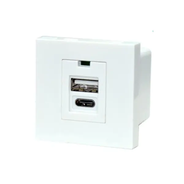 Lua Taulaga TypeA + C Usb Charger Socket Module